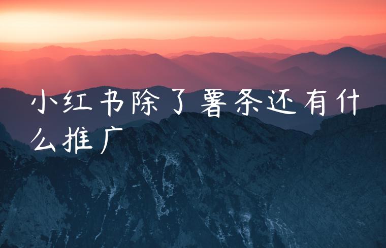 小红书除了薯条还有什么推广
