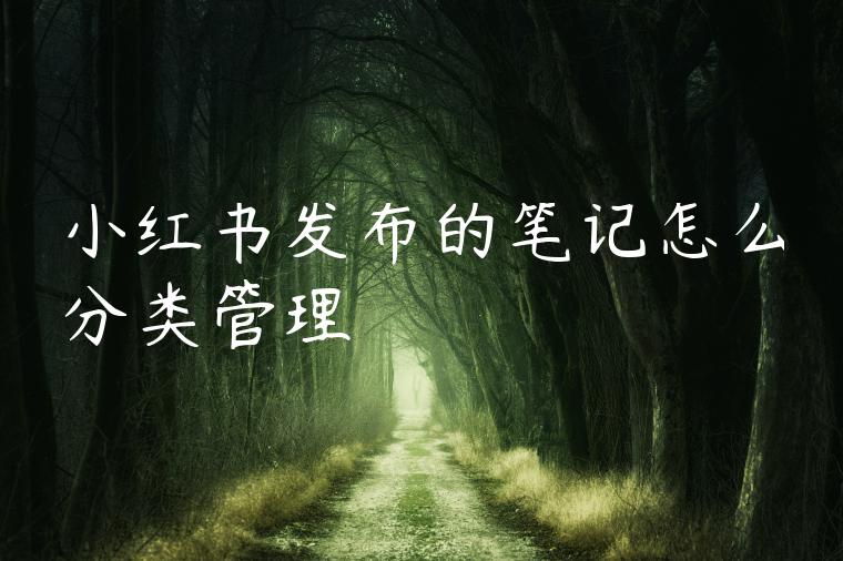 小红书发布的笔记怎么分类管理