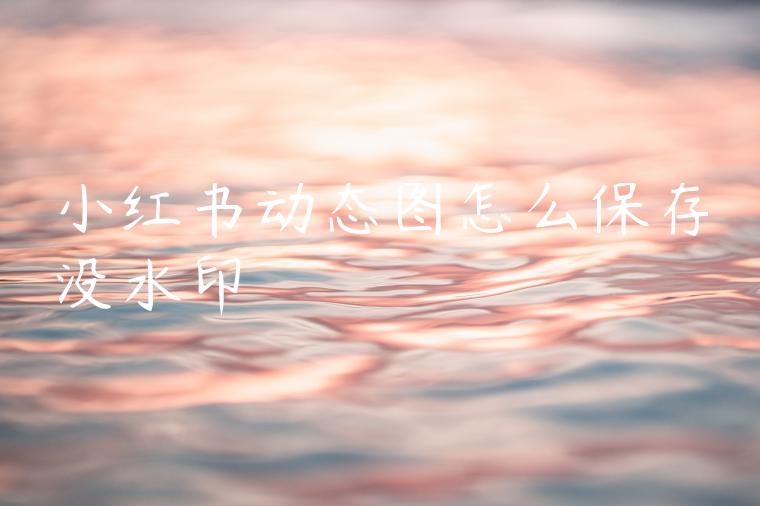 小红书动态图怎么保存没水印