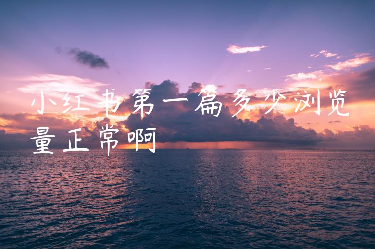 小红书第一篇多少浏览量正常啊