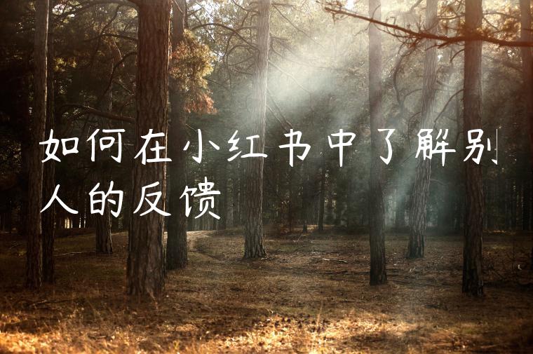 如何在小红书中了解别人的反馈