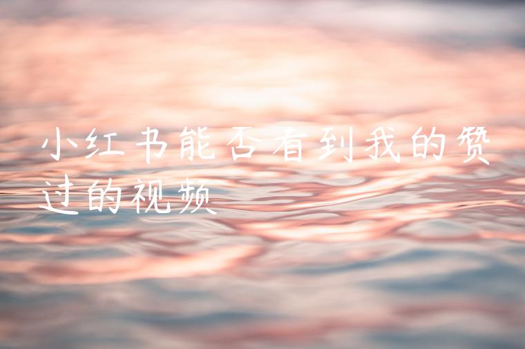 小红书能否看到我的赞过的视频 小红书能否看到我的赞过的视频