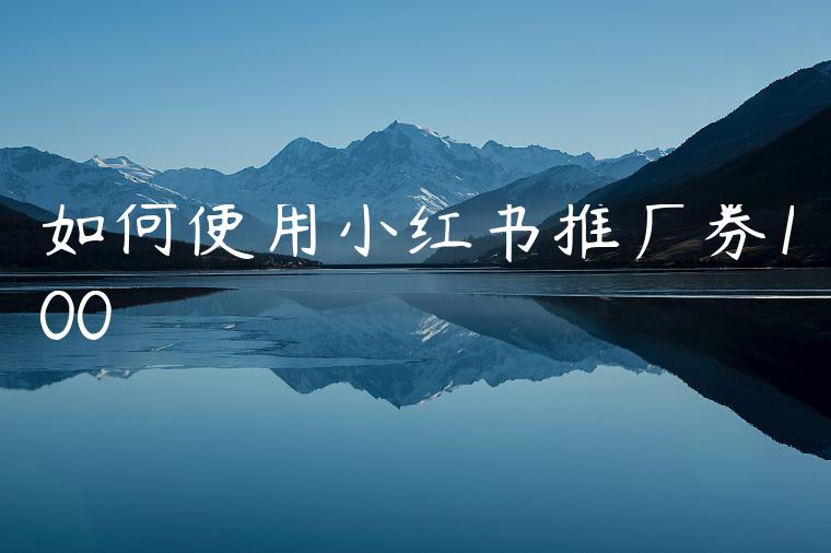 如何使用小红书推广券100