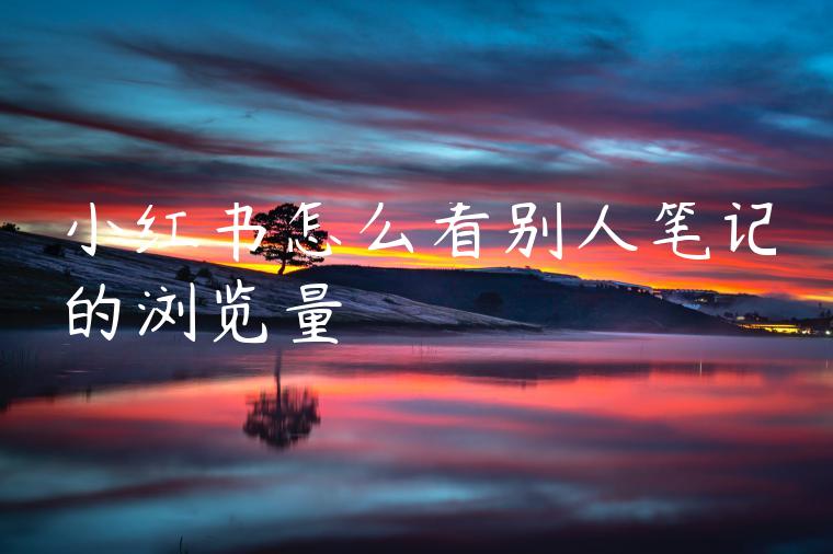 小红书怎么看别人笔记的浏览量 小红书怎么看别人笔记的浏览量