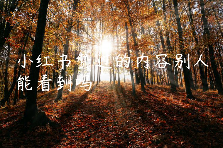 小红书赞过的内容别人能看到吗 小红书赞过的内容别人能看到吗