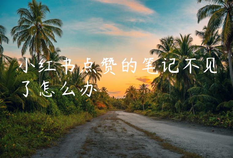 小红书点赞的笔记不见了怎么办 小红书点赞的笔记不见了怎么办