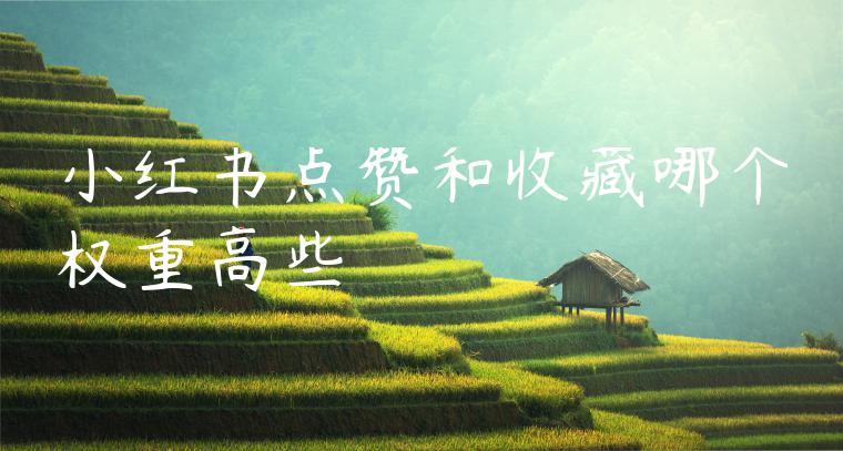 小红书点赞和收藏哪个权重高些 小红书点赞和收藏哪个权重高些