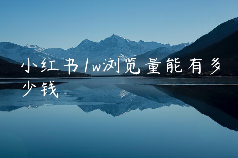 小红书1w浏览量能有多少钱 小红书1w浏览量能有多少钱