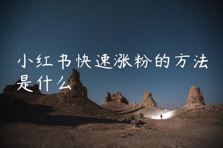 小红书快速涨粉的方法是什么