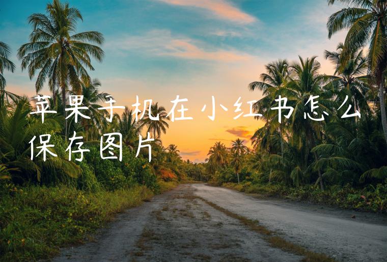苹果手机在小红书怎么保存图片 苹果手机在小红书怎么保存图片