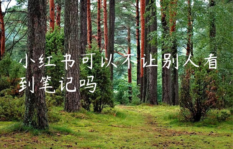 小红书可以不让别人看到笔记吗 小红书可以不让别人看到笔记吗