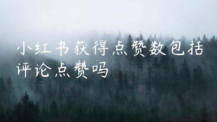 小红书获得点赞数包括评论点赞吗 小红书获得点赞数包括评论点赞吗