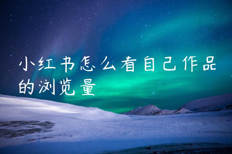 小红书怎么看自己作品的浏览量 小红书怎么看自己作品的浏览量