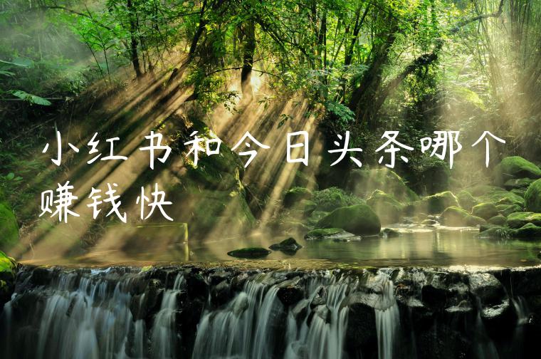 小红书和今日头条哪个赚钱快 小红书和今日头条哪个赚钱快