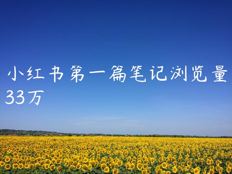 小红书第一篇笔记浏览量33万