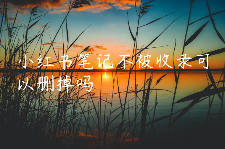 小红书笔记不被收录可以删掉吗 小红书笔记不被收录可以删掉吗