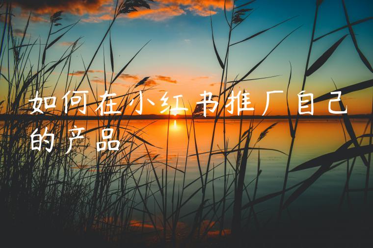 如何在小红书推广自己的产品