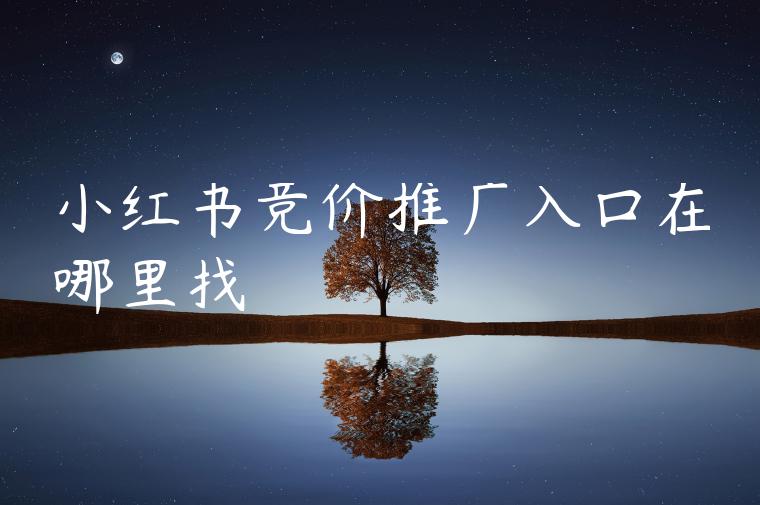 小红书竞价推广入口在哪里找