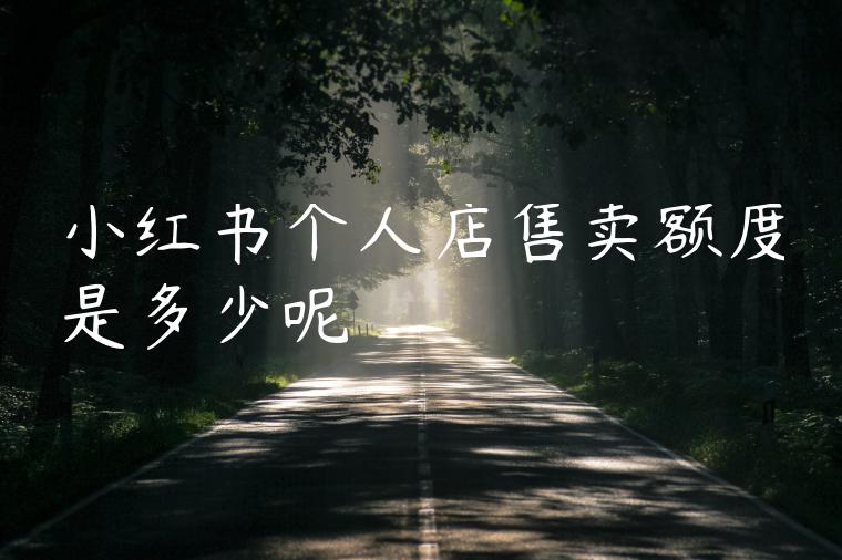 小红书个人店售卖额度是多少呢