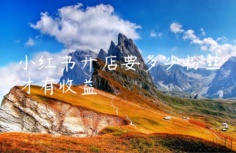 小红书开店要多少粉丝才有收益