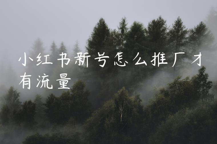 小红书新号怎么推广才有流量