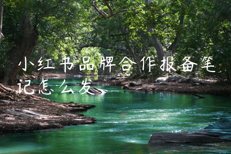 小红书品牌合作报备笔记怎么发 小红书品牌合作报备笔记怎么发