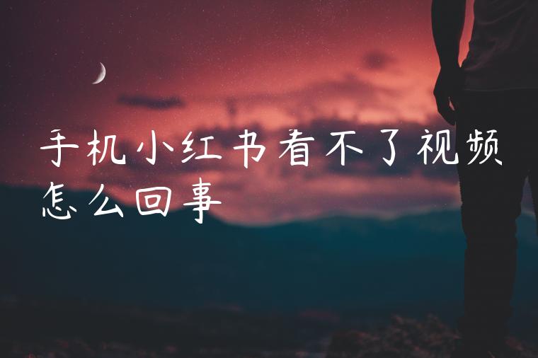 手机小红书看不了视频怎么回事