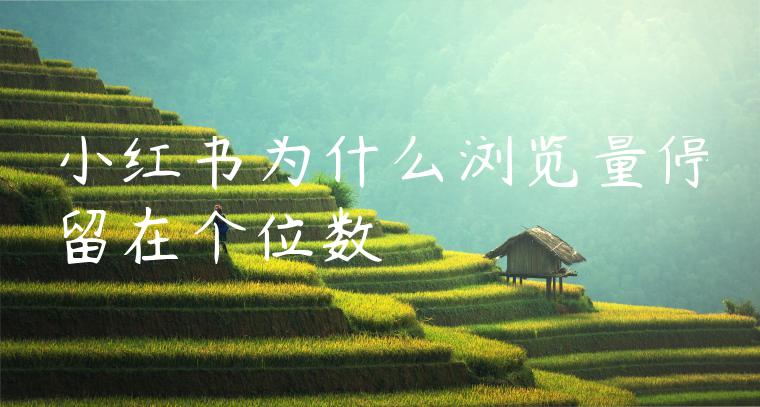 小红书为什么浏览量停留在个位数 小红书为什么浏览量停留在个位数