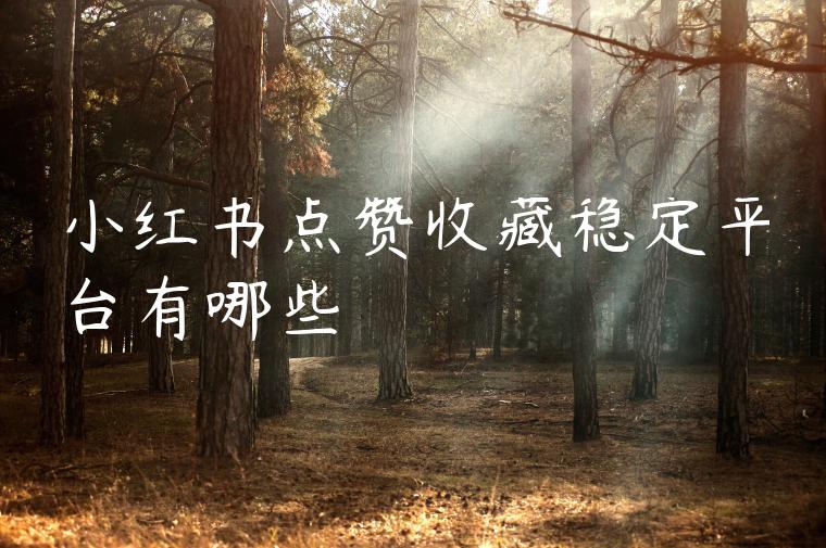 小红书点赞收藏稳定平台有哪些 小红书点赞收藏稳定平台有哪些