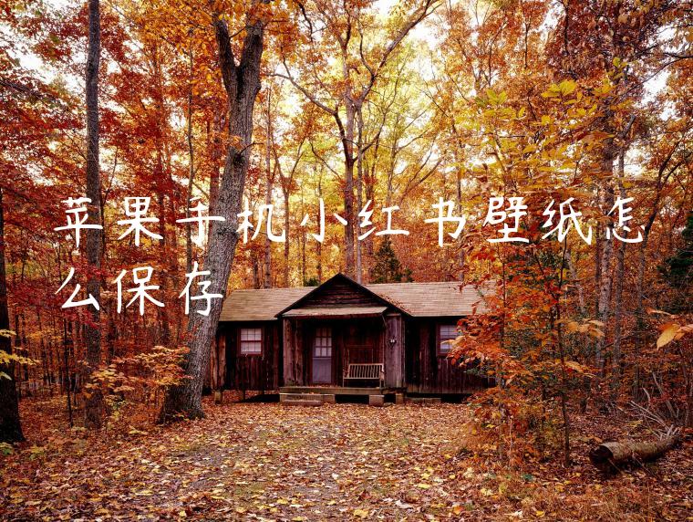 苹果手机小红书壁纸怎么保存