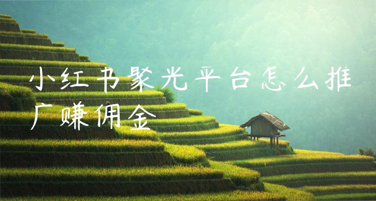 小红书聚光平台怎么推广赚佣金