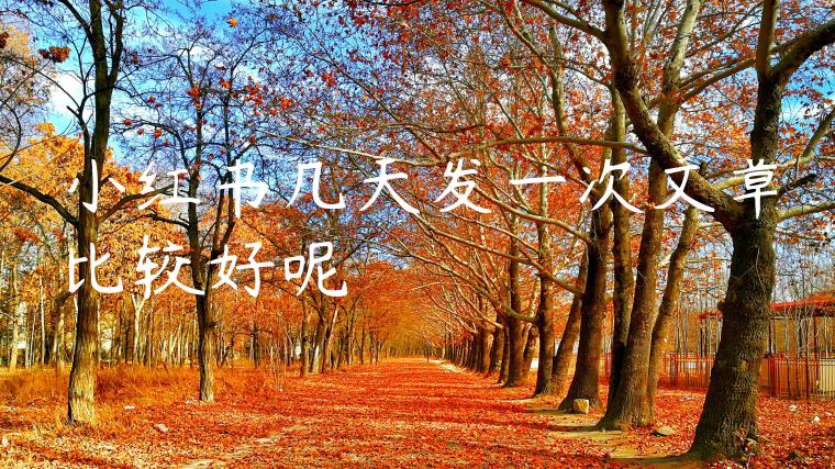 小红书几天发一次文章比较好呢 小红书几天发一次文章比较好呢