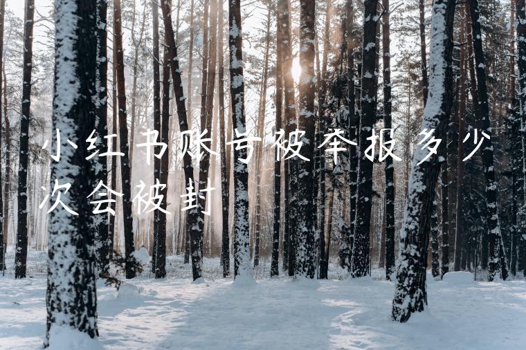 小红书账号被举报多少次会被封 小红书账号被举报多少次会被封