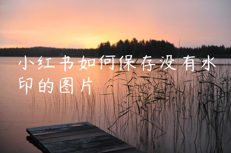 小红书如何保存没有水印的图片