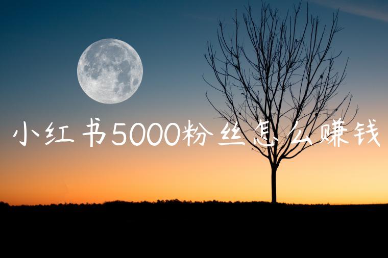 小红书5000粉丝怎么赚钱 小红书5000粉丝怎么赚钱
