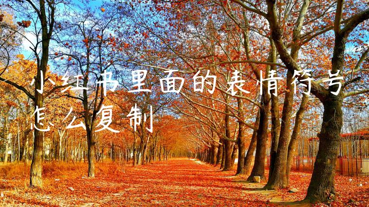 小红书里面的表情符号怎么复制