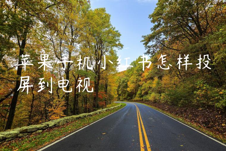 苹果手机小红书怎样投屏到电视 苹果手机小红书怎样投屏到电视