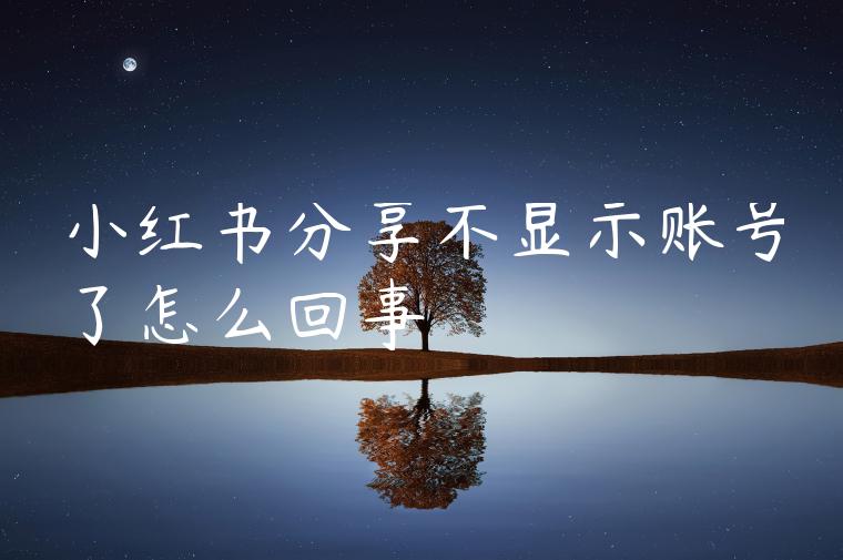 小红书分享不显示账号了怎么回事