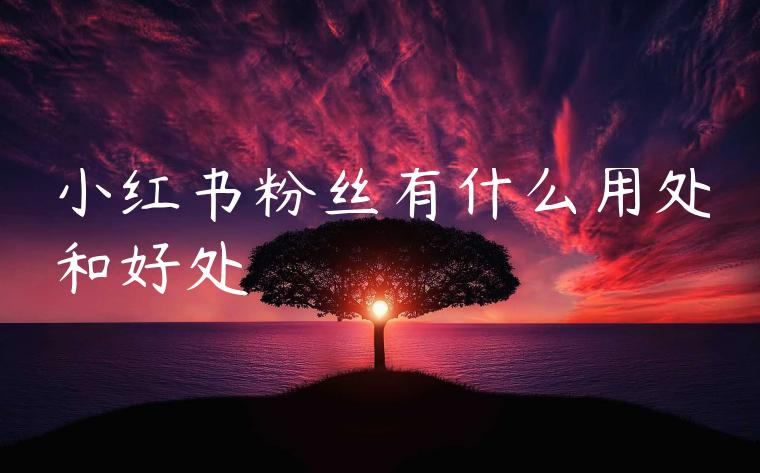 小红书粉丝有什么用处和好处