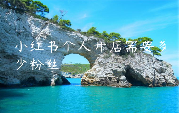 小红书个人开店需要多少粉丝