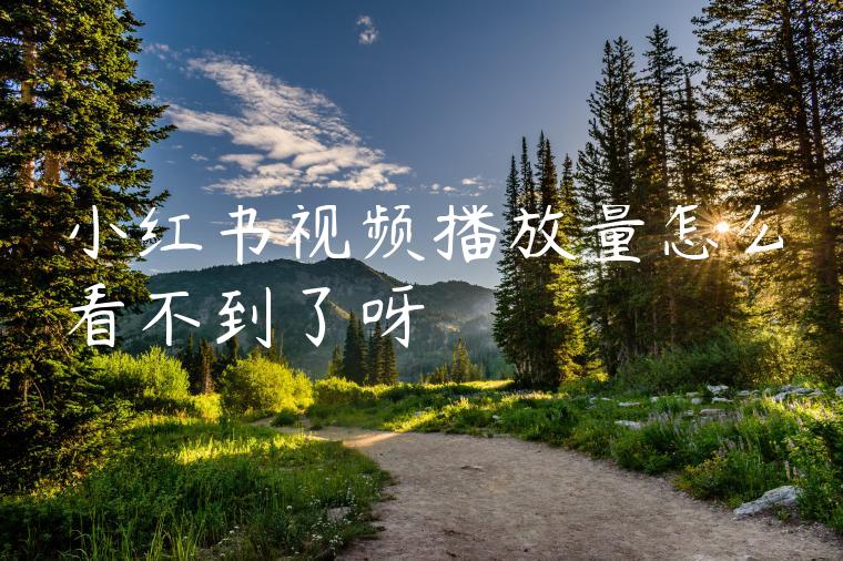 小红书视频播放量怎么看不到了呀 小红书视频播放量怎么看不到了呀