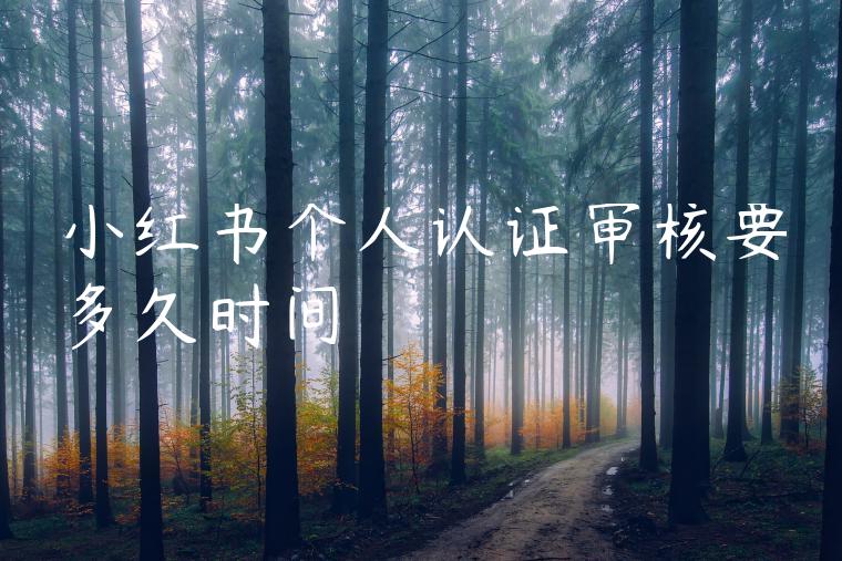 小红书个人认证审核要多久时间 小红书个人认证审核要多久时间