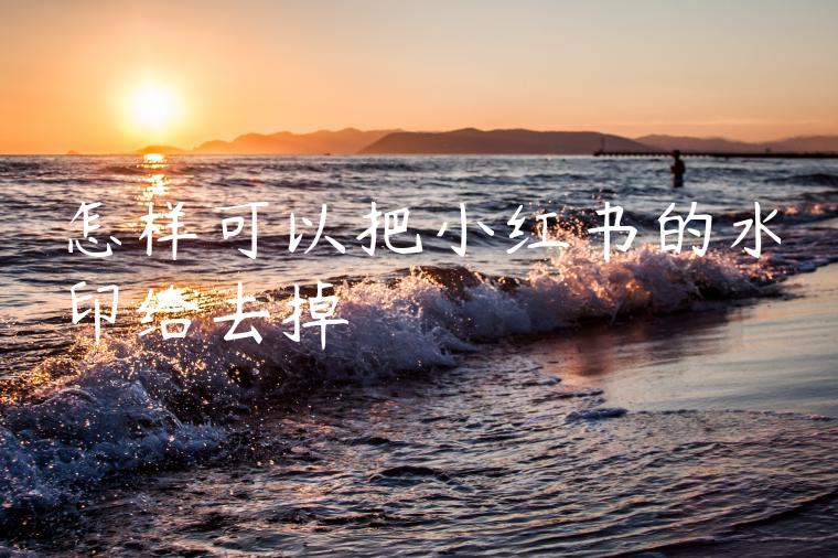 怎样可以把小红书的水印给去掉 怎样可以把小红书的水印给去掉