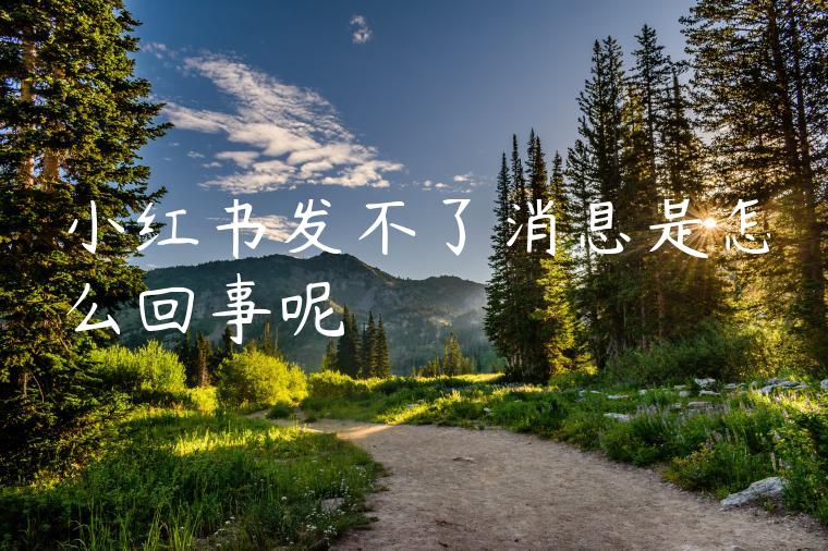 小红书发不了消息是怎么回事呢
