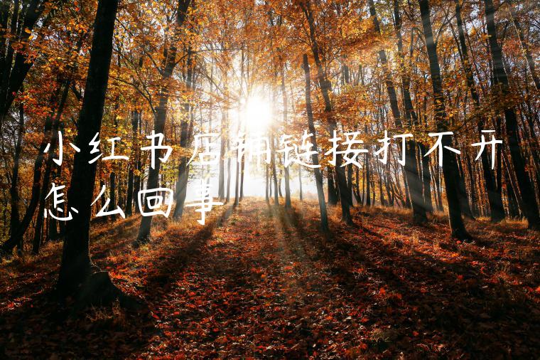 小红书店铺链接打不开怎么回事 小红书店铺链接打不开怎么回事