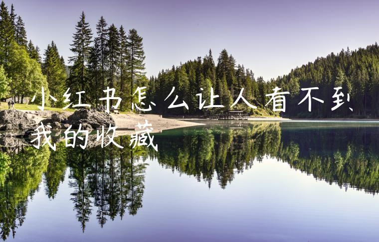 小红书怎么让人看不到我的收藏 小红书怎么让人看不到我的收藏