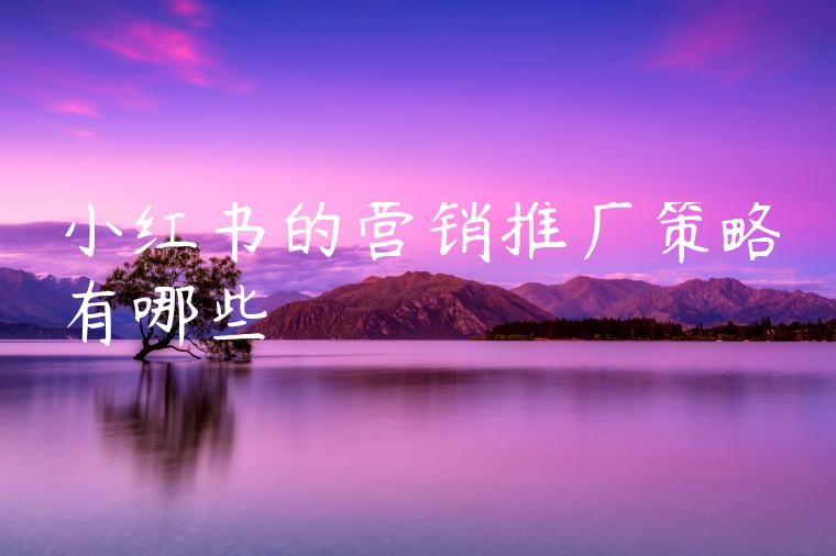 小红书的营销推广策略有哪些 小红书的营销推广策略有哪些