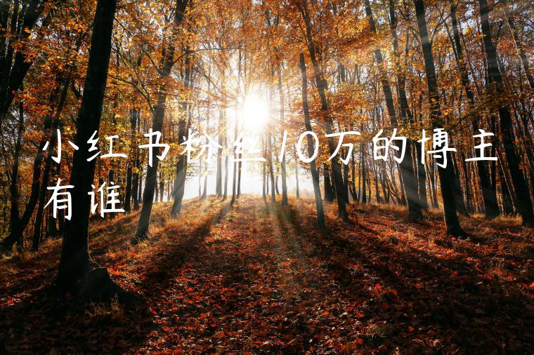 小红书粉丝10万的博主有谁 小红书粉丝10万的博主有谁