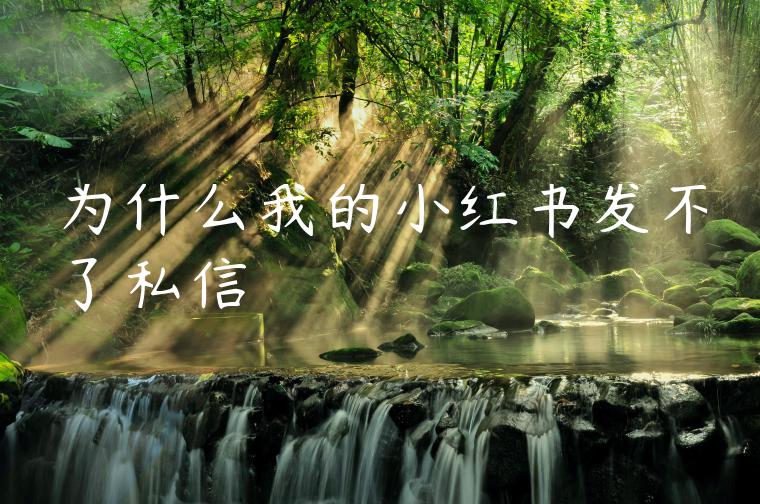 为什么我的小红书发不了私信