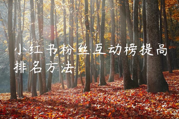 小红书粉丝互动榜提高排名方法 小红书粉丝互动榜提高排名方法